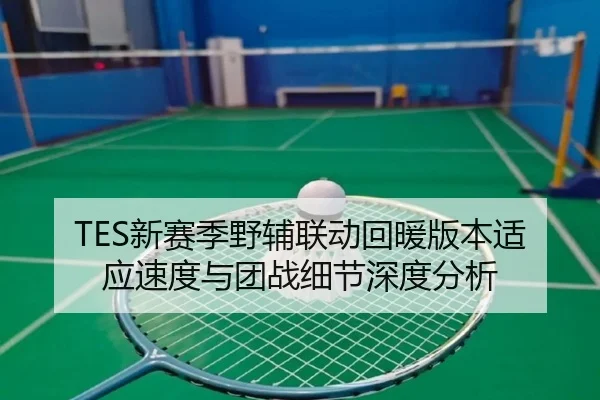 TES新赛季野辅联动回暖版本适应速度与团战细节深度分析
